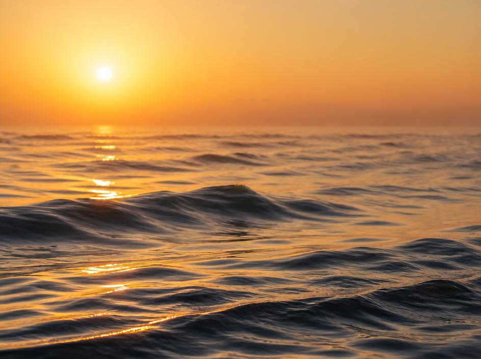 Calm ocean surface at dawn representing strategic alignment